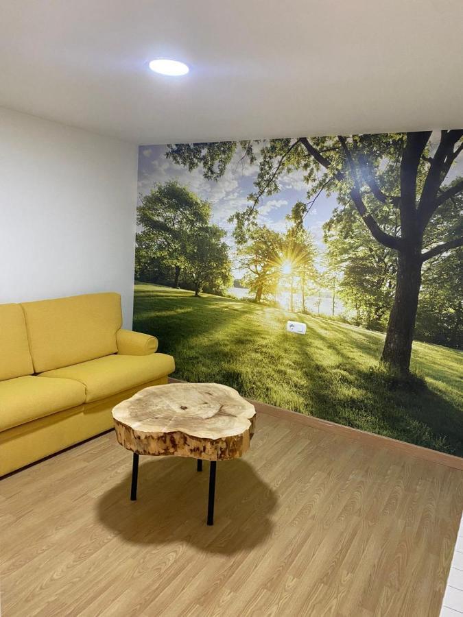 Apartamentos Palacio Azcarate Calle Calvario 仕格莱 外观 照片